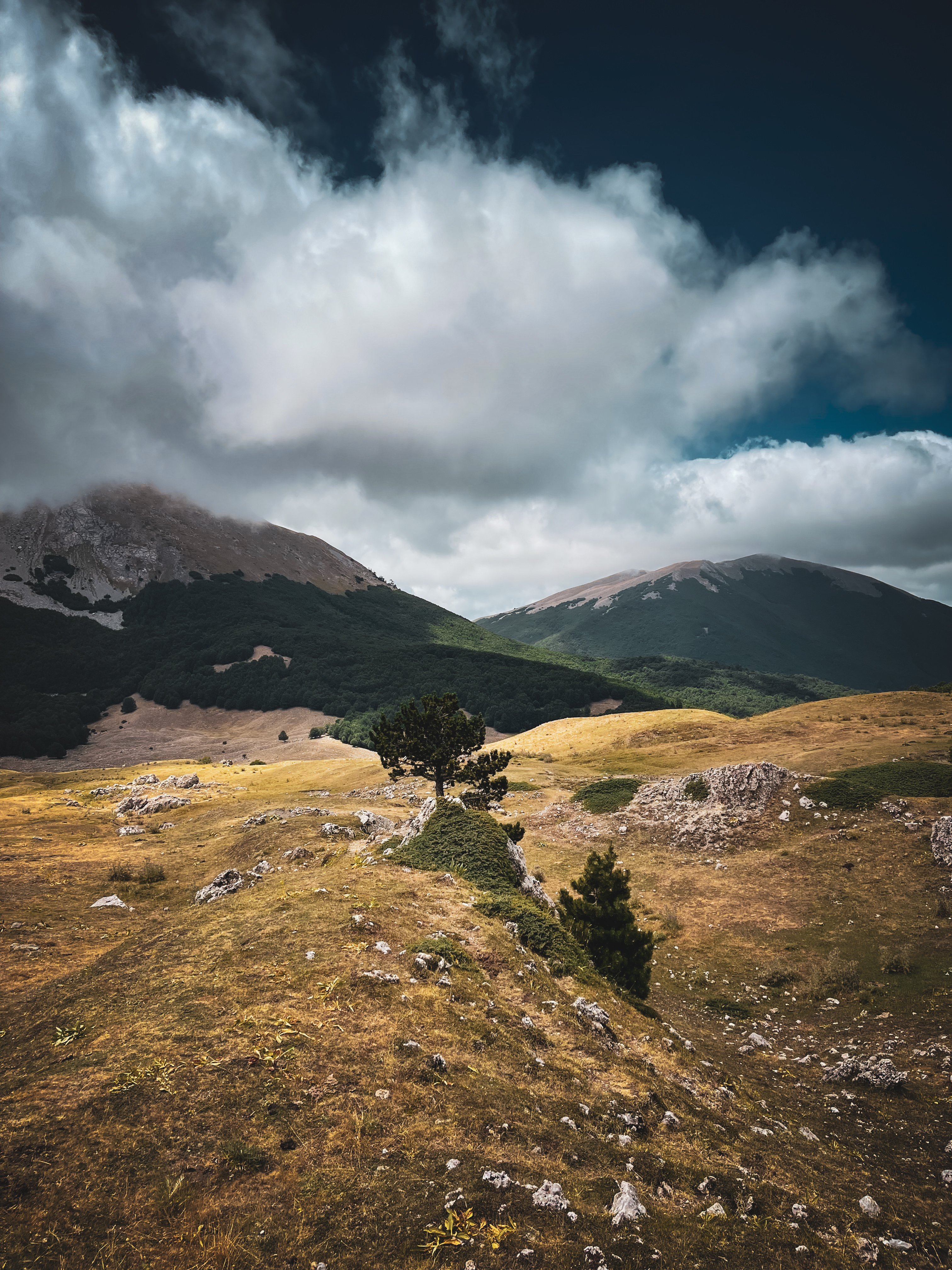 Paesaggi maestosi del Parco Nazionale del Pollino tra faggete e creste